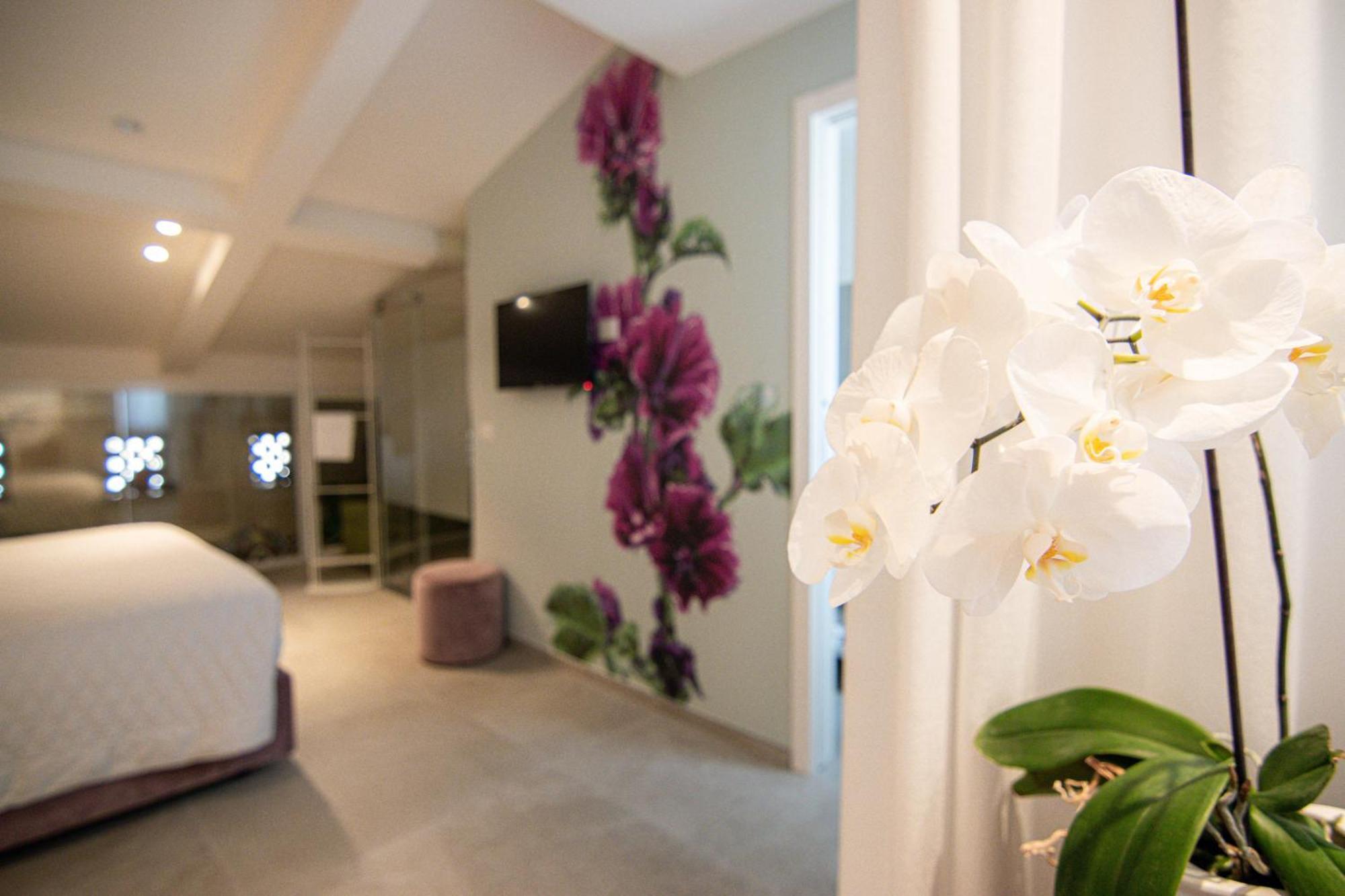 Profumi Di Primavera Luxury Rooms & Suite Matera Exterior photo